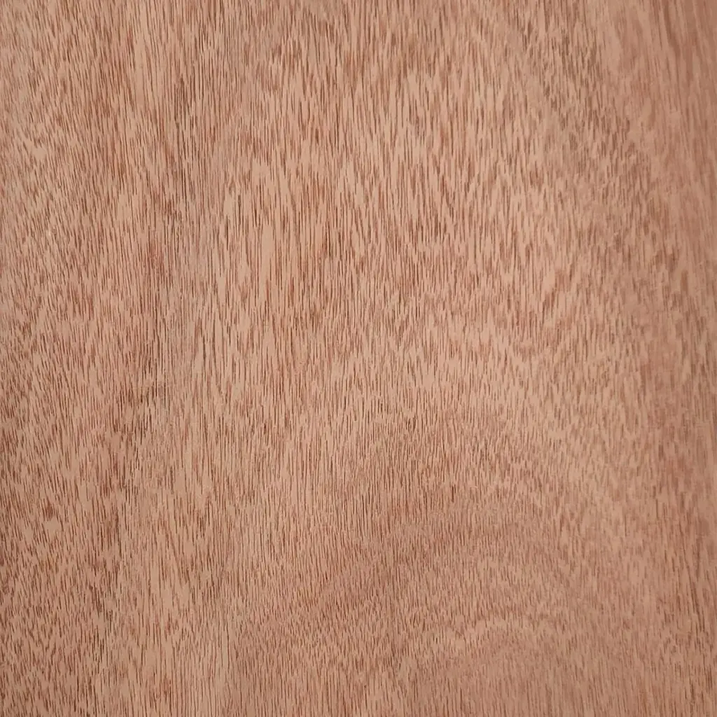 8c562c730849013af70af130b9c3a495e26b75c5